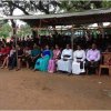 Oli Vizha